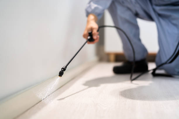 Bed Bug Pre-Treatment Preparation Assessment in Commerce
