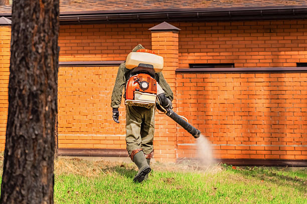 Bed Bug Clearance Verification and Documentation in Commerce